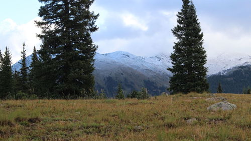 Scenic view of field and mountains against sky