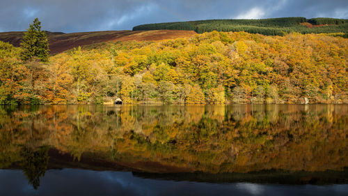 Autumn colours at loch ard in scotland.
