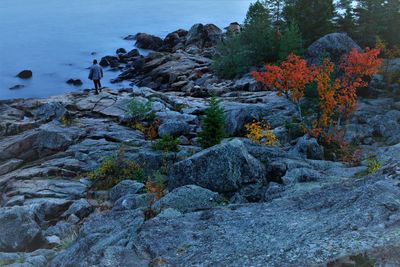 Rock formation on sea shore