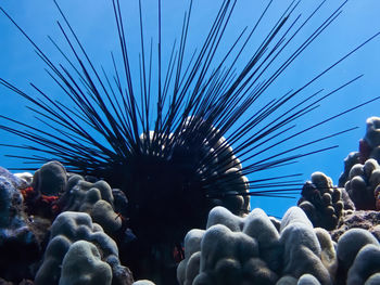 Low angle view of people in the sea