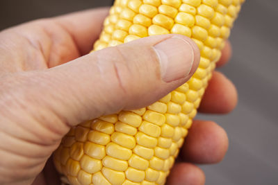 Close-up of hand holding yellow bread