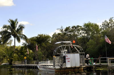 Palm trees against clear sky