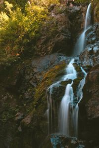 Scenic view of waterfall in forest