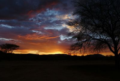 Scenic view of silhouette trees against sky during sunset