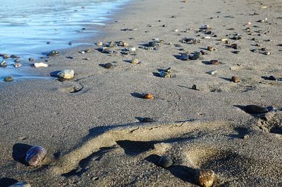 High angle view of footprints on sand at beach