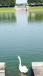 View of lake with trees in background