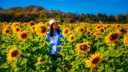 Woman standing amidst sunflower field