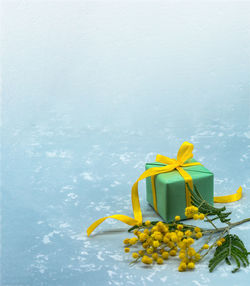 Close-up of yellow flower on table against white background