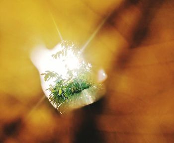 Defocused image of sunlight