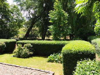 View of formal garden