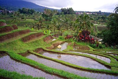 High angle view of landscape