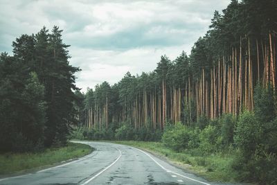 Road amidst trees in forest against sky