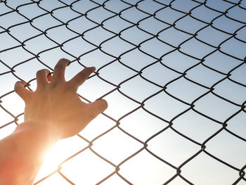 Cropped hand of person touching chainlink fence against sky