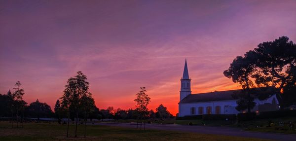 Trees in city against sky during sunset