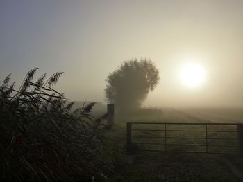 View of fence in field at sunrise