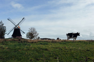 Horses on field against sky