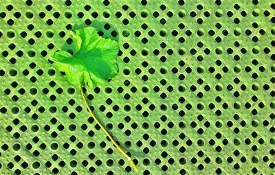 Full frame shot of green leaf