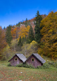 Twin cabins amidst fall colours