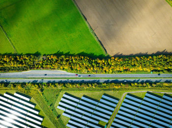 Scenic view of agricultural field