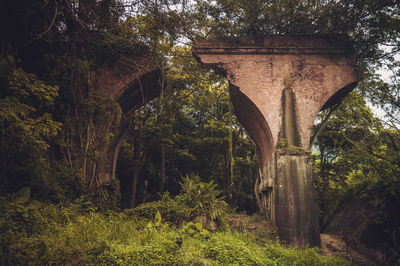 Low angle view of arch bridge in forest