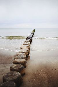 Driftwood on beach against sky