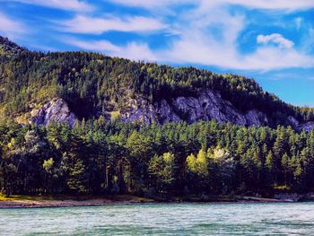 Scenic view of river amidst trees against sky