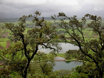 Trees by lake against sky