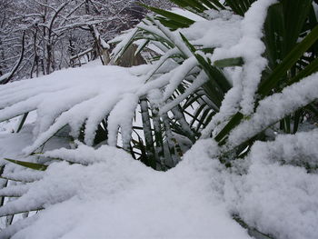 Snow on field during winter