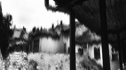 Panoramic shot of trees in forest against sky