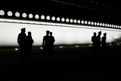 Silhouette people standing in illuminated lights at night