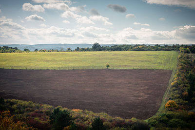 Scenic view of field against sky