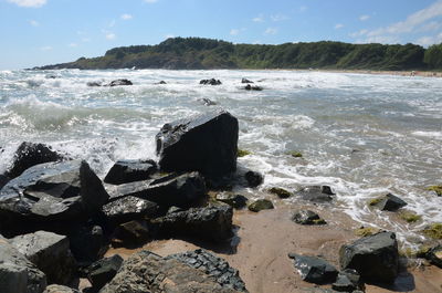 Scenic view of sea shore against sky