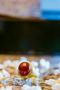 Close-up of shell on beach