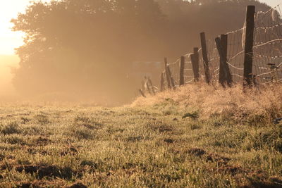 Sunrise in rural kent, uk