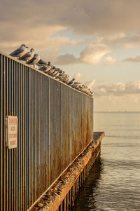 Metallic structure on beach against sky during sunset