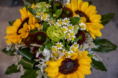 Close-up of yellow flowering plant