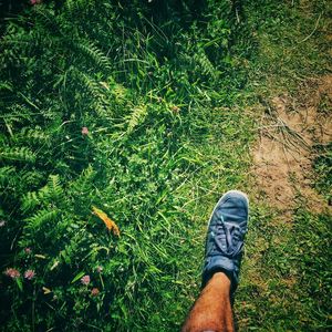 Low section of man standing on grass
