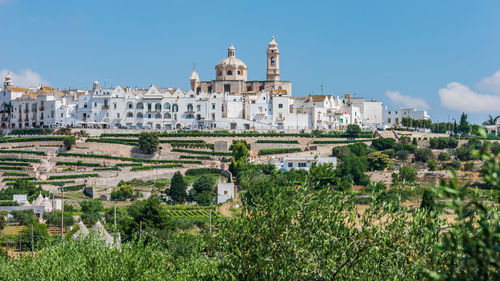 Locorotondo and the itria valley. between white houses and trulli. puglia, italy