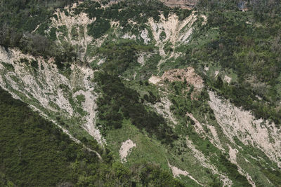 High angle view of trees on mountain