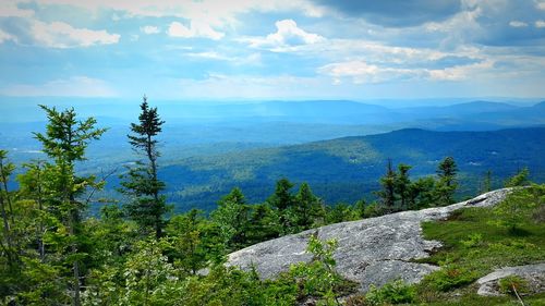 Scenic view of tree mountains against sky