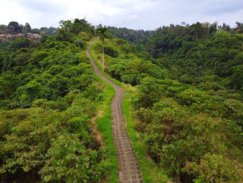 An aerial view of campuhan ridge walk ubud bali indonesia
