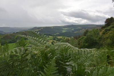 Scenic view of agricultural field against sky. llangollen. 