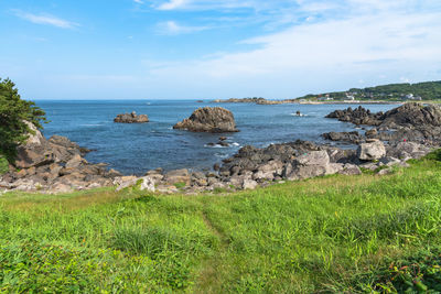 Tanesashi kaigan coast. the coastline includes sandy and rocky beach, grassy meadows scenic sea view