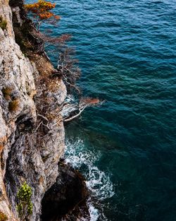 High angle view of rock formation on sea