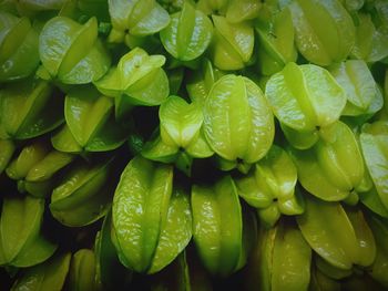 Full frame shot of green leaves