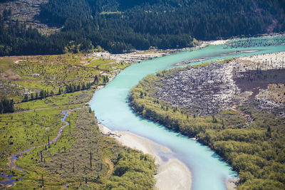 High angle view of river flowing amidst trees