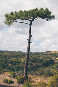 Scenic view of landscape against cloudy sky