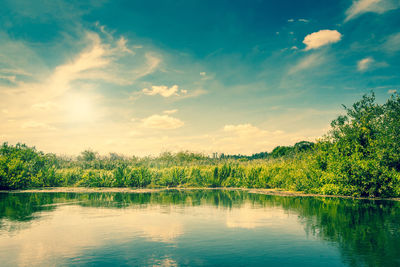 Reflection of trees in lake