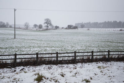 Scenic view of field during winter