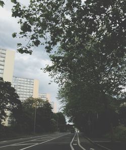 Road passing through forest